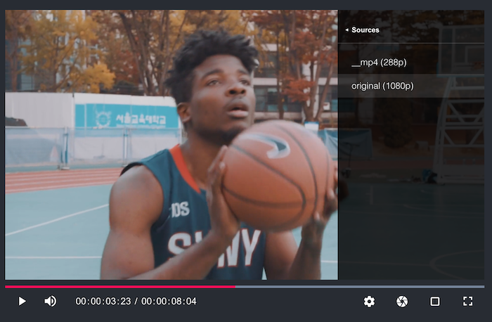 vdt-videojs.png